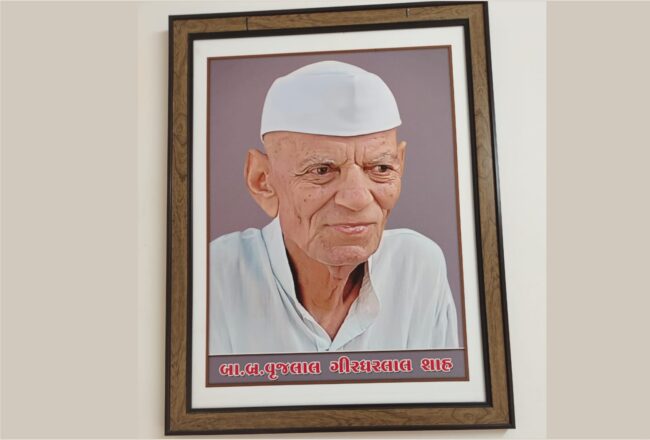 ब्रह्मचारी वजुभाई